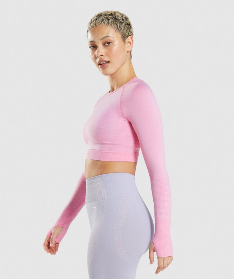 Women's Gymshark Vital Seamless 2.0 Cropped Tops Pink | CA 08A5N6